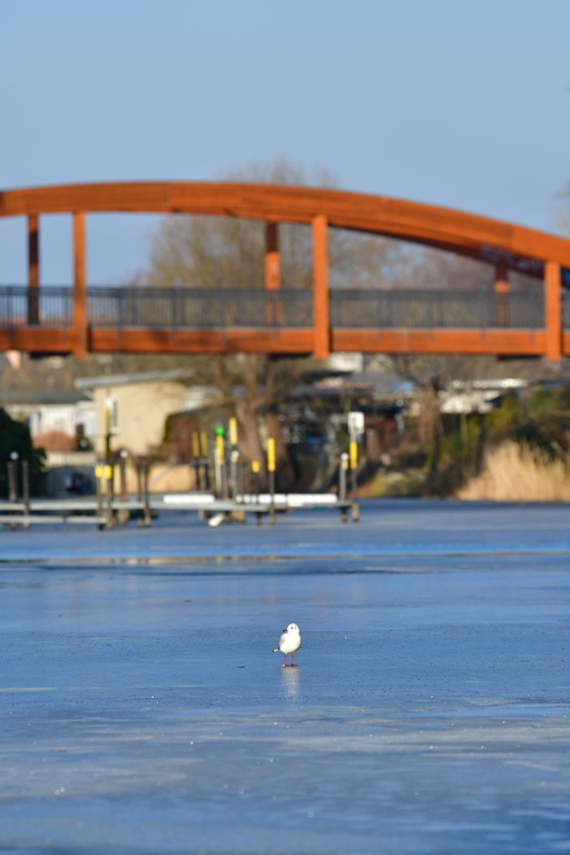 2026-01-08 Brandenburg an der Havel/Stadt/DSC_2228.JPG